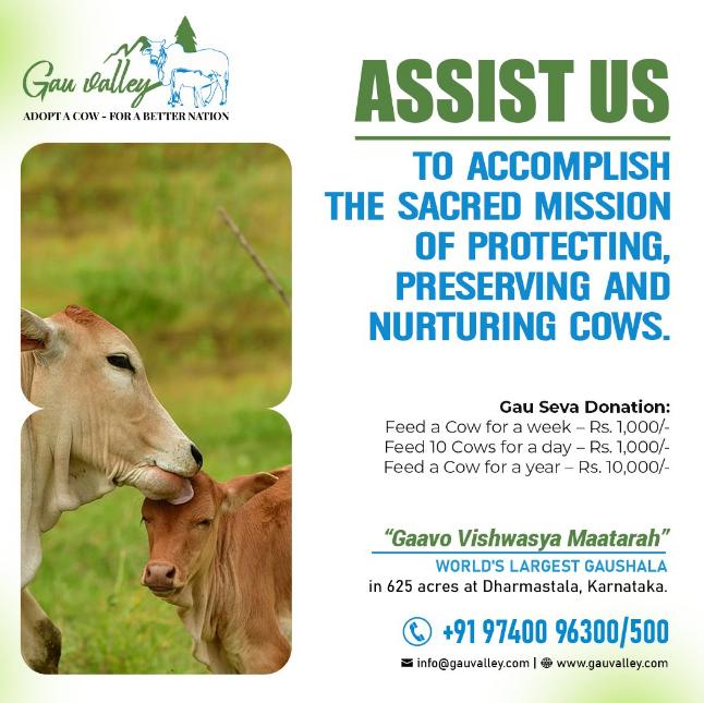 Adopt a Cow For a Better Nation-Gau Valley-Stumbit Advertisements
